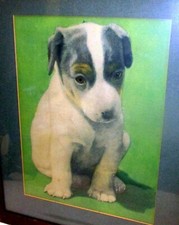 Vtg puppy pit for sale  Minneapolis