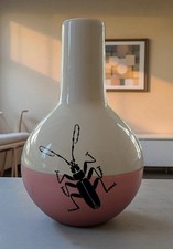 Vaso ikea capsule usato  Massa di Somma