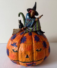 Jim shore witch for sale  Cortland