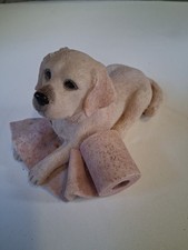 Labradorite puppy golden for sale  PULBOROUGH