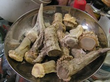 Antler burrs brow for sale  Ponca City
