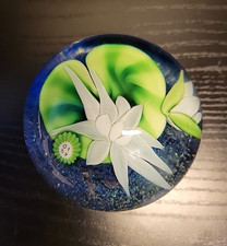 Orient flume waterlily for sale  Columbus
