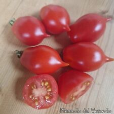 Tomate piennolo del gebraucht kaufen  Mettenheim