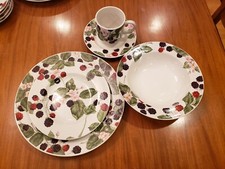 Raspberry social 20pc.dinner for sale  Dyer