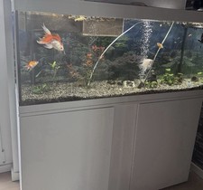 Aquarium 240 liter gebraucht kaufen  Berlin