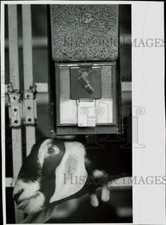 1987 press photo for sale  Memphis