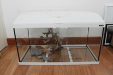 Set completo acquario usato  Novara