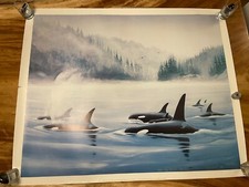 Wyland orcas orca for sale  Blaine