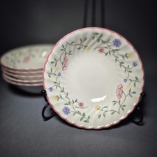 Johnson bros summer for sale  NORWICH
