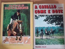 Sally gordon manuale usato  Italia