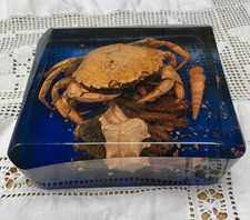 crab shell for sale crab shell for sale  COVENTRY
