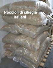 Noccioli ciliegia semi usato  Bologna