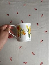 Dunoon becher narcissus gebraucht kaufen  Kassel