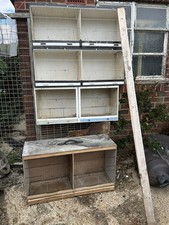 Canary double breeding for sale  ST. NEOTS