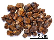 Meteorite sericho pallasite for sale  Colorado Springs