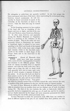 Old antique print for sale  UK