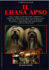 Olivier lhasa apso usato  Piacenza