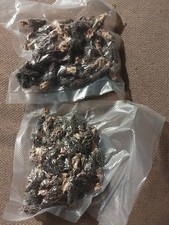 Morilles séchées 100grs d'occasion  Draguignan