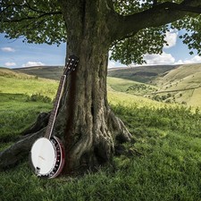 String banjo full for sale  Flanders