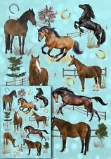 Horse pony lover for sale  YEOVIL
