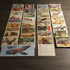 Animaux prehistoriques 1982 d'occasion  Narbonne