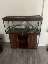 Juwel rio 240 for sale  NORWICH