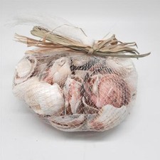 Relaxdays muschel deko gebraucht kaufen  Schwarzenberg