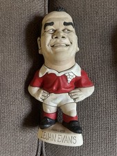 Ieuan evans groggs for sale  TORQUAY