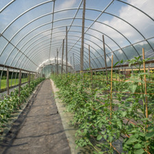 Farm plastic supply for sale  Addison