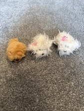 Mini pound puppies for sale  CRAWLEY