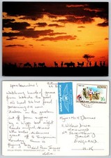 C23078 wildebeest herd for sale  LONDON