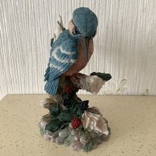 Used regency fine for sale  SCUNTHORPE