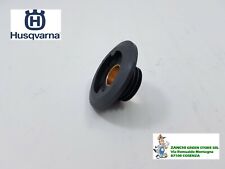 Vite senza fine usato  Cosenza