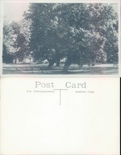 Mulberry trees mansion for sale Mulberry trees mansion for sale  ROSSENDALE