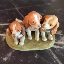 Brittany pups forever for sale  Rialto