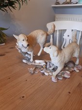 Country artist labrador for sale  RYDE