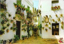 Ak  Cordoba, typische andalusische Straße 1985 comprar usado  Enviando para Brazil