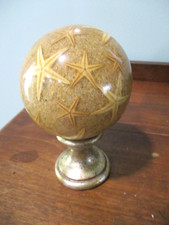 Murano ocean starfish for sale  Donalsonville