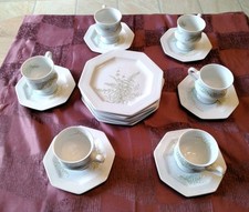 Kaffegeschirr sommerfarn gallo gebraucht kaufen  Gelsenkirchen