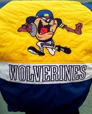 Vintage taz looney for sale  Tampa