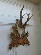 Roe deer trophy for sale  WALLASEY