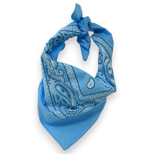 Bandanas bleu ciel d'occasion  Bœrsch