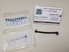 T2046007 originale triumph usato  Conversano