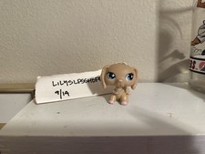 Lps littlest pet for sale  Salem