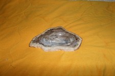 Mineraux tranche bois d'occasion  Igny