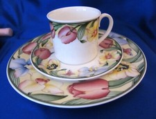 Villeroy boch kaffeegedeck gebraucht kaufen  Essen