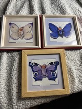 anne geddes prints for sale anne geddes prints for sale Anderson