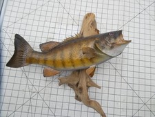 Vintage smallmouth bass for sale  Jackson