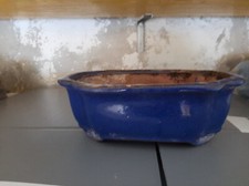 Vasi bonsai usati usato  Milano