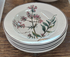 Lovely villeroy boch for sale  San Francisco